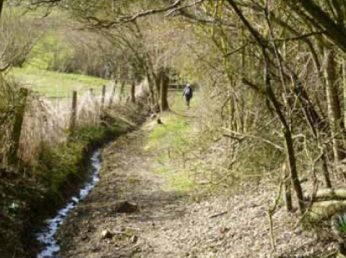 Path To Wetherden